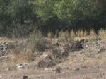 la cañada