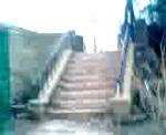 Must Watch Video