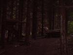 nice little trail