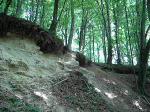 falaise