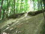 falaise
