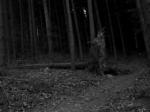 hometrail,arnsberg