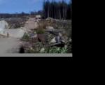 Stainburn Forest, Descent Line