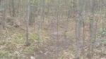 Must Watch Video