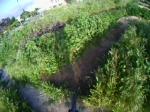 pumptrack/trail