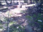 Bottom of Kerplop