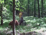 new trail edit