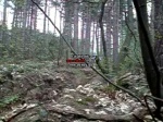 Must Watch Video