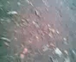 Must Watch Video