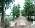 Must Watch Video