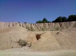 Must Watch Video
