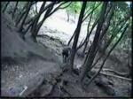 Must Watch Video