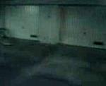 Must Watch Video