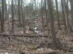 trail gap