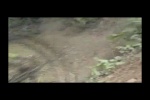 Must Watch Video