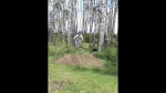 Must Watch Video