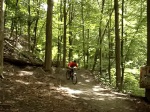 Hwip to Dumb Roller Line.