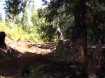 Kyle Warner Ripping F-Line