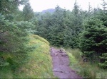 Storr Capers