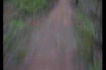 snowshoe 09
