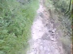 Must Watch Video
