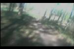 Must Watch Video