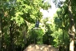 Must Watch Video
