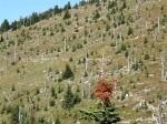 Seven Summits