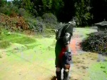 Must Watch Video