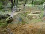 Must Watch Video