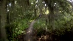 Bridges @ Alafia River State Park