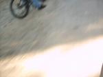 Must Watch Video