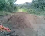 Must Watch Video