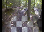 Promenons nous dans les bois