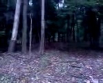 Castle Trails Road Gap