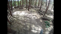 Cannock Chase, Follow the Dog (part 1 of 5)