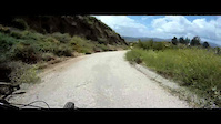 Horse Trail