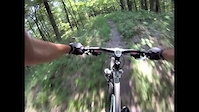 The best 5 minutes of bobcat