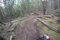 Larch Hills Traverse - Sicamous Section
