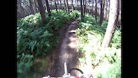 Monkey Trail