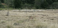 downhill pump track