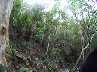 COFFEE BEANS & SWITCHBACKS PART 3