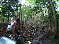 Yellow Trail