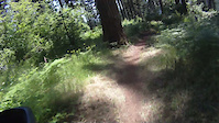 Short video of my first ride down Bullit Trail...