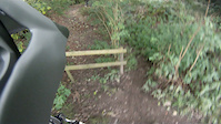 Wickie Woods