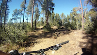 Prescott Single Track DH