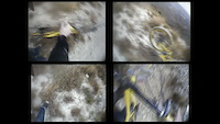 Enduro zaragoza specialized enduro 06