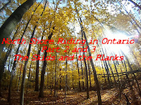 Ladder Bridges in Ontario part 1.2 and 1.3