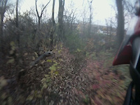 Bruce Trail DH- Stoners Creek