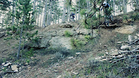 A day in Forest ...